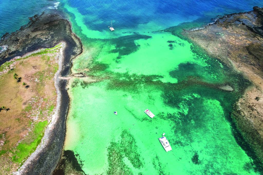 Expedições luxuosas: Swan Hellenic estreia cruzeiros na costa brasileira